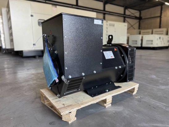 DPX CJ274K - 250 kVA Alternator - DPX-33909 DPX CJ274K - 250 kVA Alternator - DPX-33909 2026 1 Generators image 2
