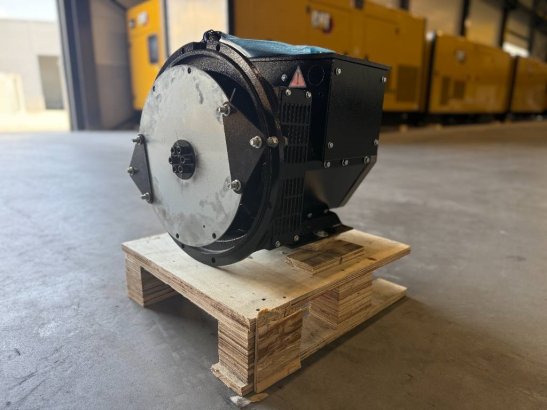 DPX CJ184ES - 20 kVA Alternator - DPX-33901 DPX CJ184ES - 20 kVA Alternator - DPX-33901 2026 1 Generators image 16