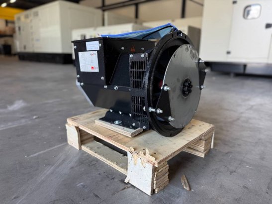 DPX CJ184G - 31 kVA Alternator - DPX-33902 DPX CJ184G - 31 kVA Alternator - DPX-33902 2025 1 Generators image 29