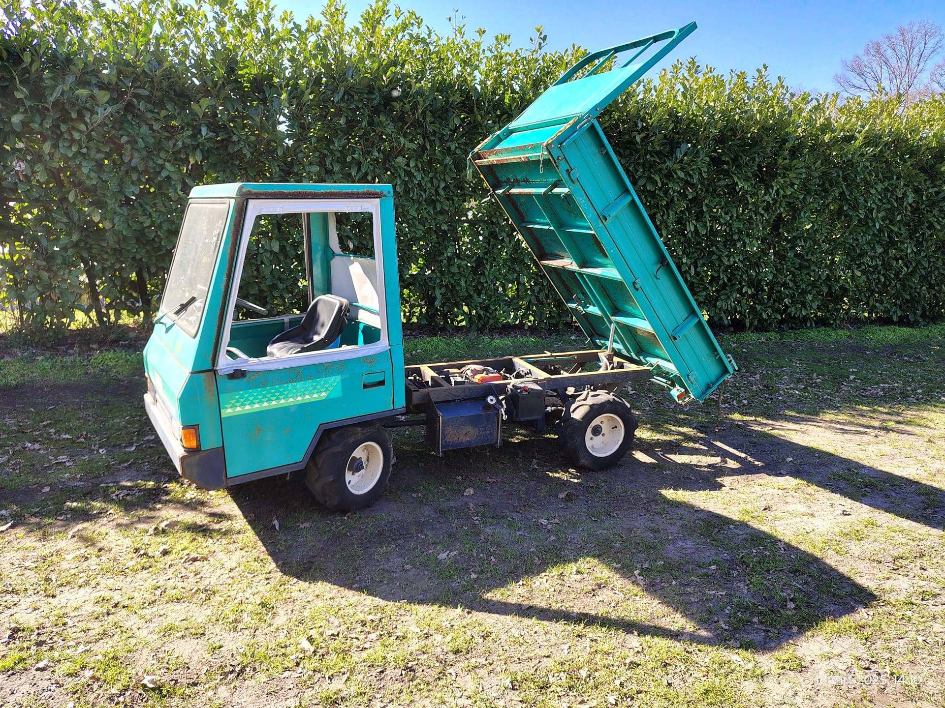 Gator Liger Movan image