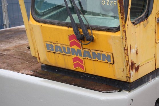 Side loader Baumann DX40-14/43SFH LPG 4000kg 4.3m 2004 BAUMANN DX40-14/43SFH 2004 2 Side loaders image 10