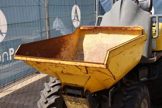 Minidumper Wacker Neuson D01-04 Diesel 17kW 2017 Neuson D01-04 2017 2 Mini dumpers image 11