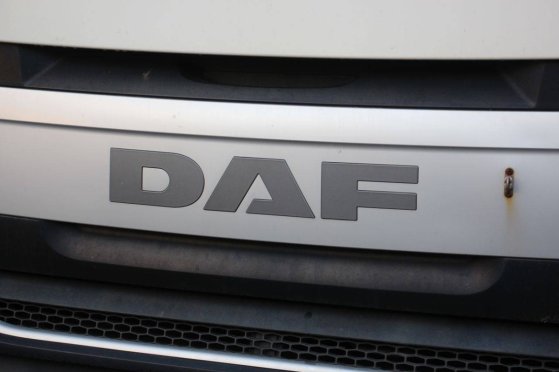 Container transport truck DAF XF Diesel 2017 XF 2017 2 image 12