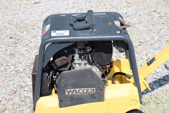 Vibratory Plate Wacker Neuson DPU 3060 Diesel 2017 Neuson DPU 3060 2017 2 image 43