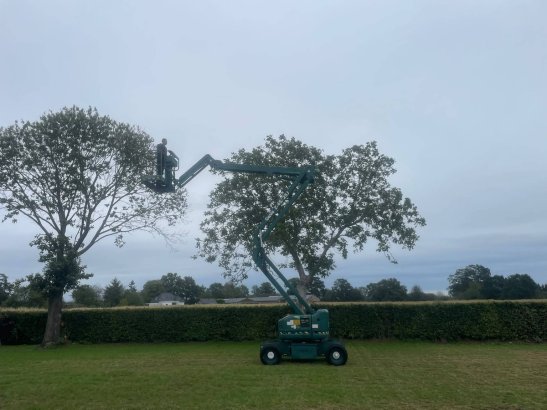 Genie Z-45/25J Articulated Boom Lift Electric+Diesel 15.8m 2001 Z-45/25J 2001 2 image 14