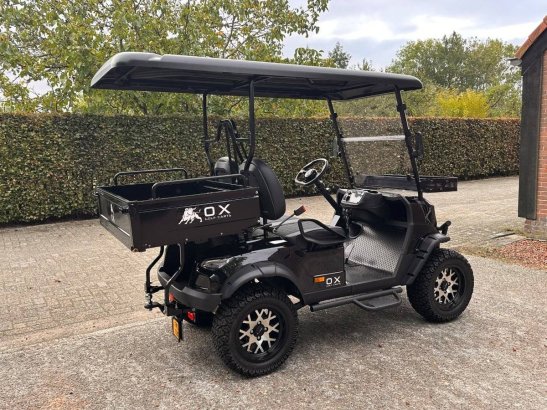 Golf Cart OX KG2LK Electric 5kW 2025 With Tilting Bed OX KG2LK 2025 2 image 12