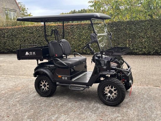 Golf Cart OX KG2LK Electric 5kW 2025 With Tilting Bed OX KG2LK 2025 2 image 4