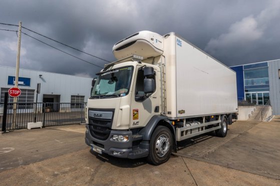 DAF LF55 250+CHEREAU+THERMO KING+DHOLLANDIA 1.5T LF55 250+CHEREAU+THERMO KING+DHOLLANDIA 1.5T 2014 2 image 15