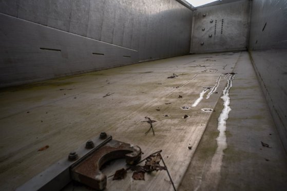 WIELTON ALU - 52 M3 ( Grain/CEREALIERE) Wielton ALU - 52 M3 ( Grain/CEREALIERE) 2015 2 image 10