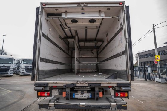 RENAULT MIDLUM 220 (16t) DXI+CARRIER MULTI+DHOLLANDIA 701 2013 2 image 4