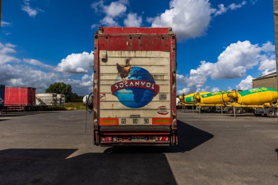 LECITRAILER CUELLO CISNE 3E-RD+DOUBLE ETAGE+DHOLLANDIA 2TON Lecitrailer CUELLO CISNE 3E-RD+DOUBLE ETAGE+DHOLLANDIA 2TON 20...
