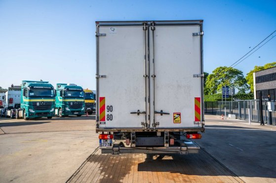 RENAULT D 16 WIDE 250 DXI +DHOLLANDIA D 16 WIDE 250 DXI +DHOLLANDIA 2014 2 image 5