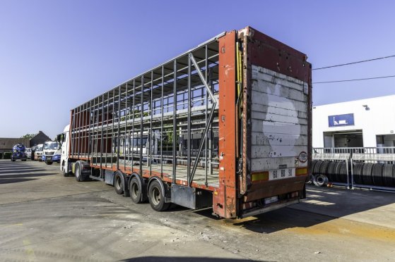 LECITRAILER CUELLO CISNE 3E-RD+DOUBLE ETAGE+DHOLLANDIA 2TON Lecitrailer CUELLO CISNE 3E-RD+DOUBLE ETAGE+DHOLLANDIA 2TON 20...