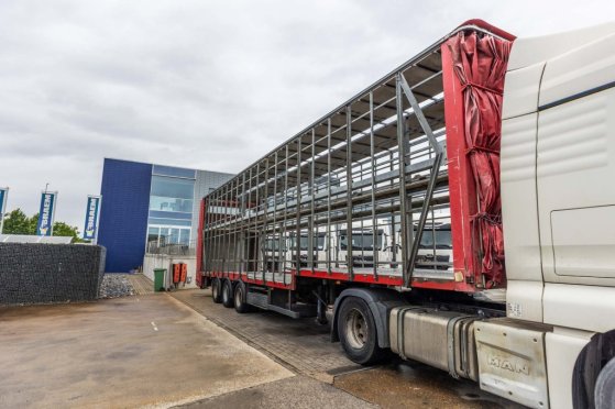 LECITRAILER CUELLO CISNE 3E-RD+DOUBLE ETAGE+DHOLLANDIA 2TON Lecitrailer CUELLO CISNE 3E-RD+DOUBLE ETAGE+DHOLLANDIA 2TON 20...