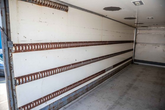 RENAULT MIDLUM 280DXI+POUSSIN/CHICKEN/KUIKEN/KÛKEN 701 2008 2 image 8