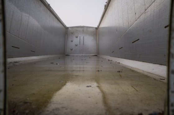 WIELTON ALU - 52 M3 ( Grain/CEREALIERE) Wielton ALU - 52 M3 ( Grain/CEREALIERE) 2015 2 image 25