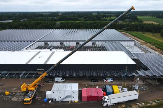 Liebherr LTM1250-5.1 Dutch Registration, Paragraph 70, 10x6 683 2018 2 Mobile Cranes image 9