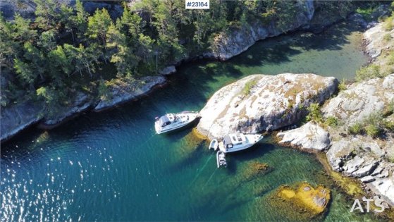 Nimbus 29C Nordica – Upgraded boat – New engine in nimbus 29C Nordica – Upgraded boat – New engine in 2019 2 image 11