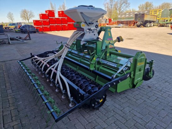 Celli Celli 2023 2 image 4