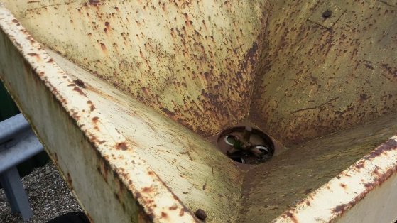 getrokken pendel strooier - Gebruikt GETROKKEN pendel strooier - Gebruikt 2 image 4